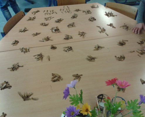 Basisschool De Krullevaar | De Meern