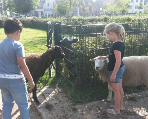 de-krullevaar-groep-4-boerderij
