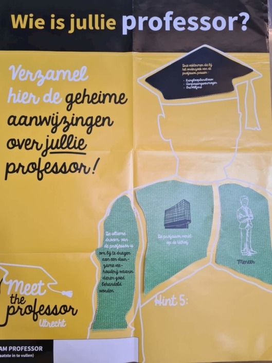 Professor (1)