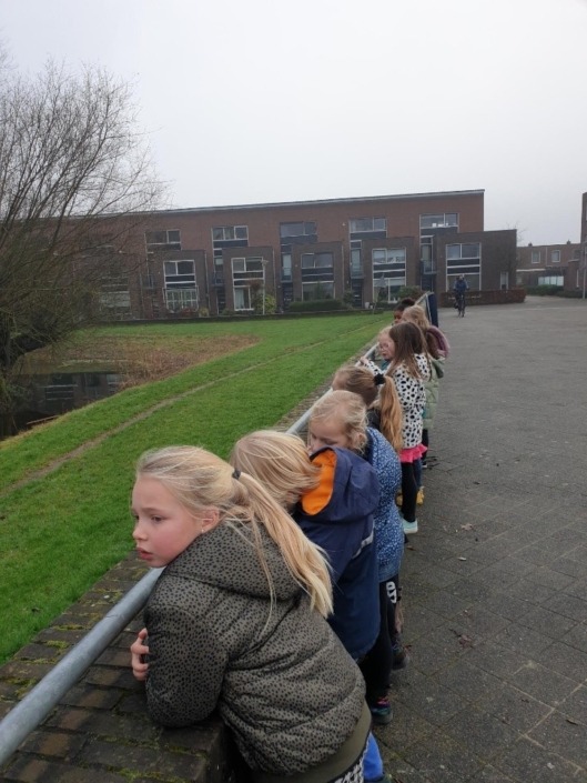 Vogels groep 3a
